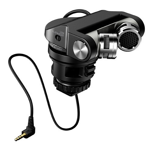 Tascam stereo plug - stereo, mic